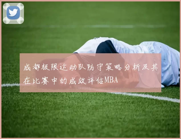 成都极限运动队防守策略分析及其在比赛中的成效评估MBA