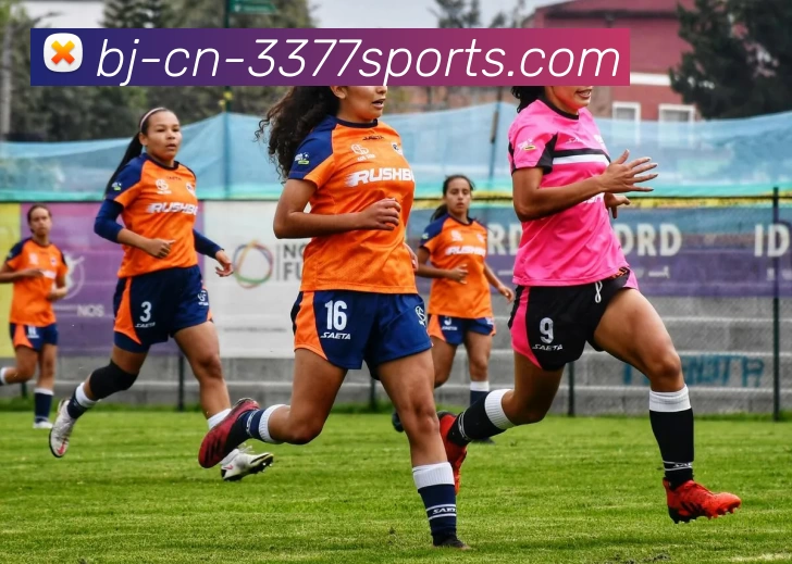 3377官网服务体系